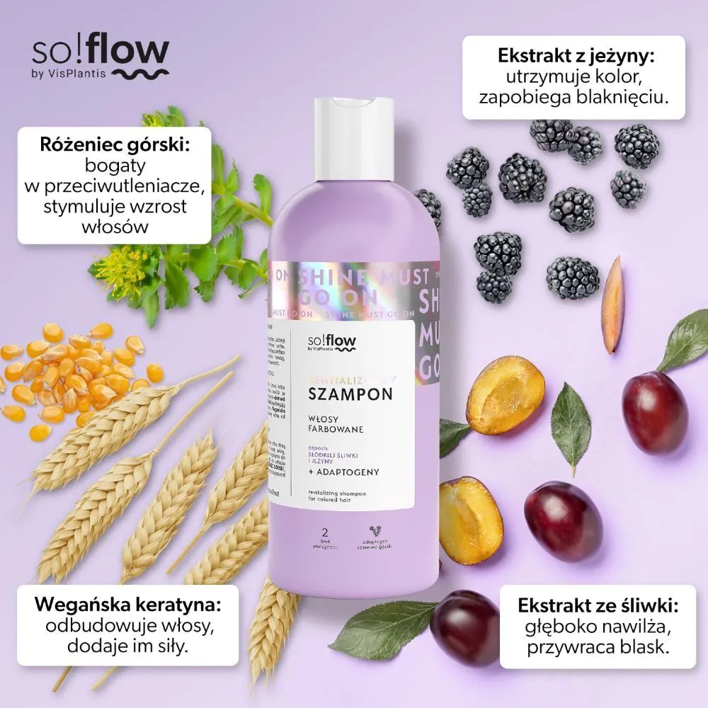 So!Flow Rewitalizujący Szampon do włosów Farbowanych