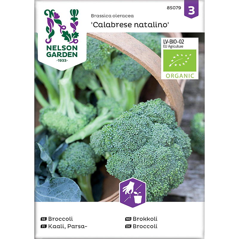 Nelson Garden Seeds Broccoli Calabrese Natalino, ekologisk