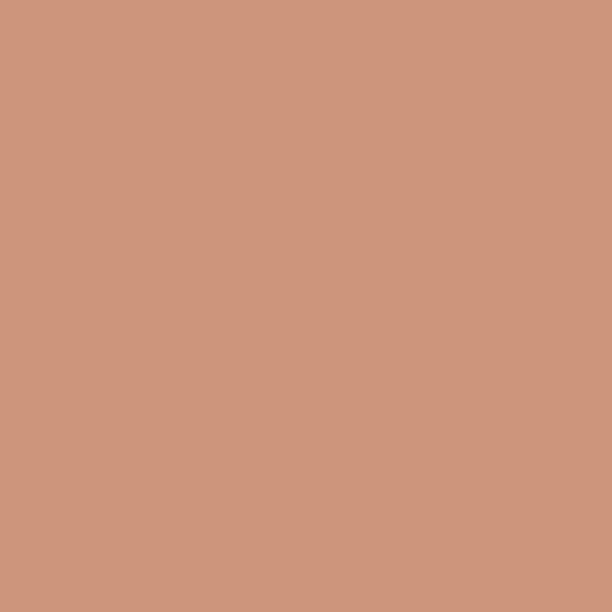 Olovka za usne Velvet Define Olovke za usne