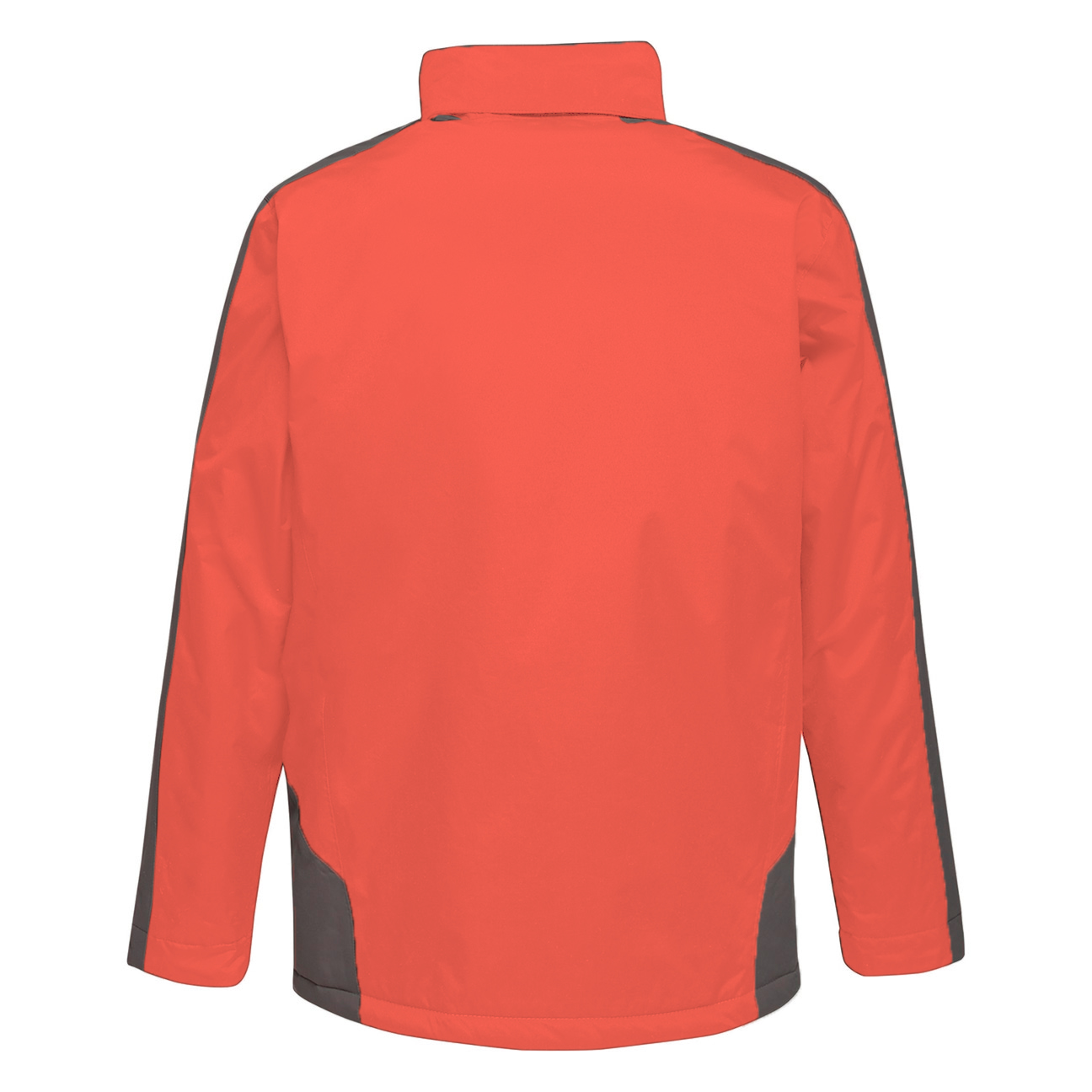 Veste imperméable et isolante contrastée Regatta