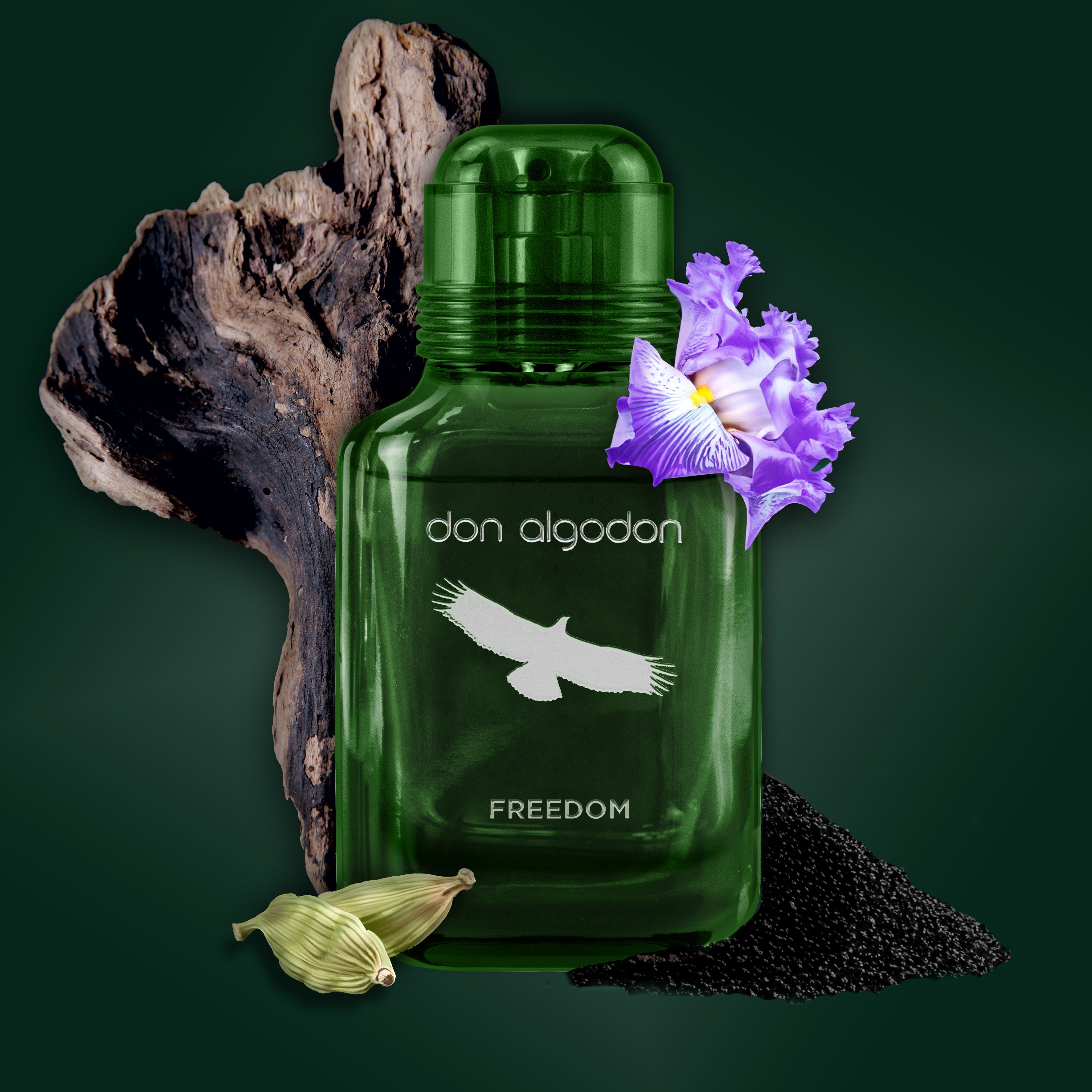 Freedom Eau de Toilette Parfumi za moške