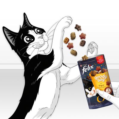 Felix Snack Box Kattensnoepjes