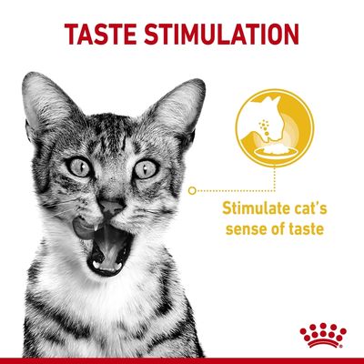 Royal Canin Sensory Taste i sovs