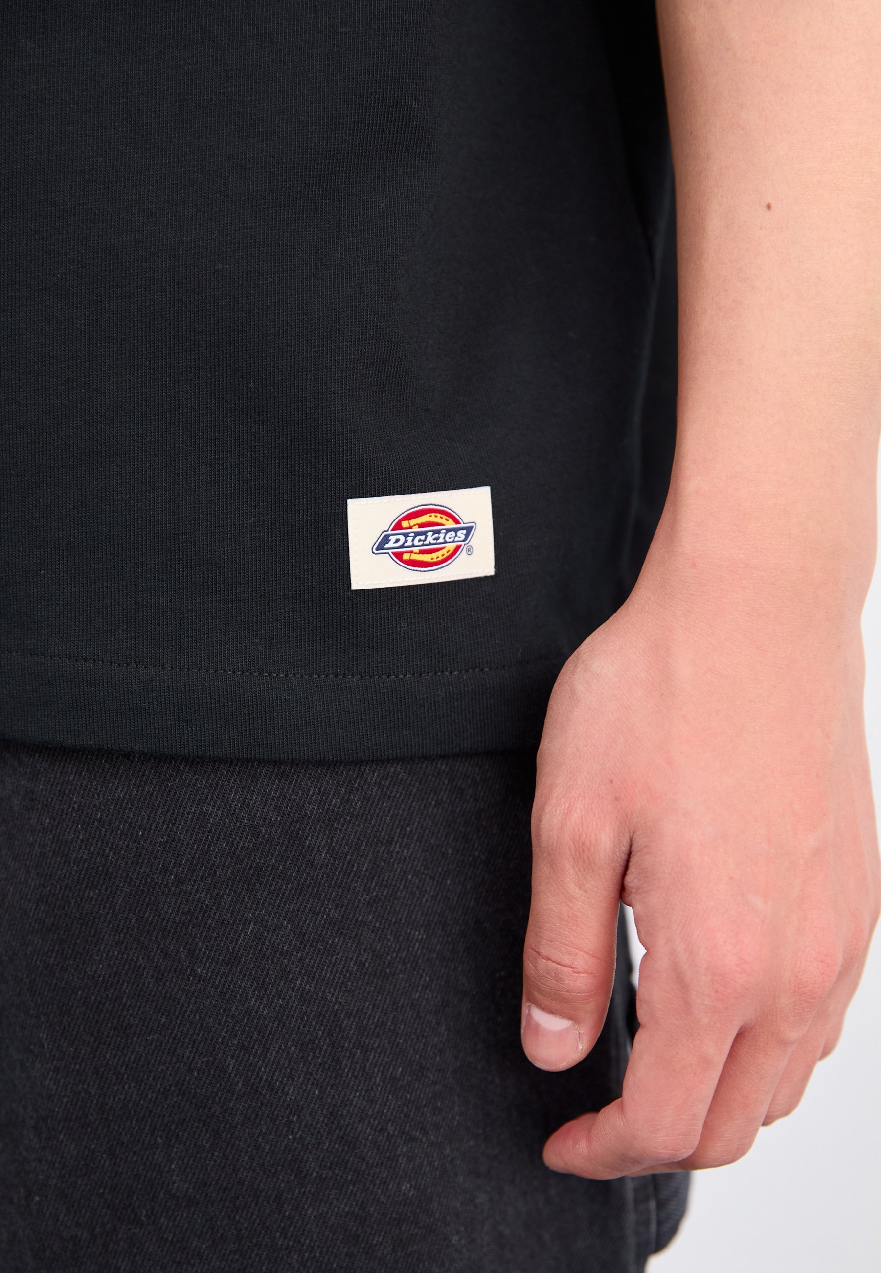 T-shirt Dickies MINERAL HEAVYWEIGHT - T-shirt basique - noir