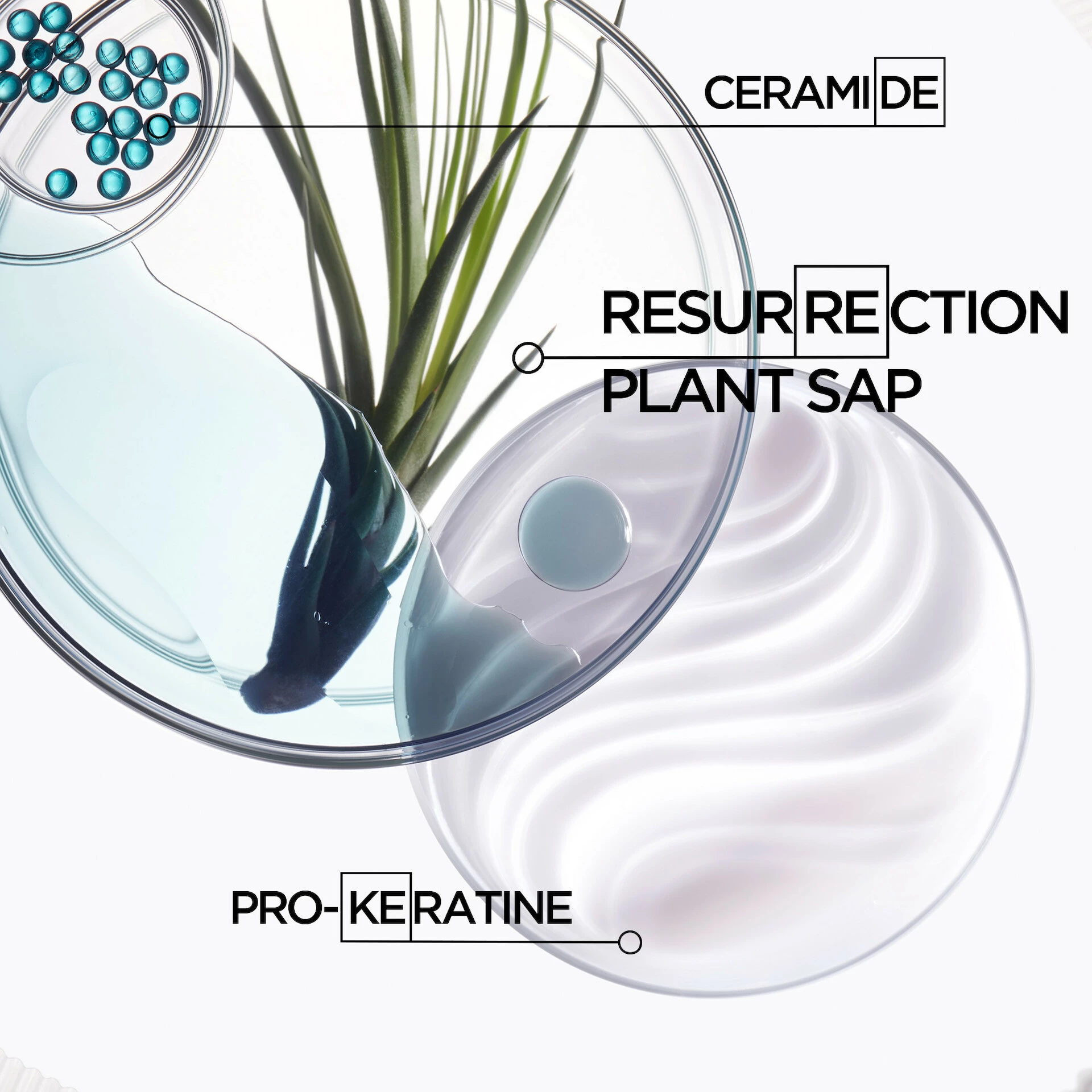Balsam Resistance Cement Anti-Usure Topseal 200 ml - Kérastase