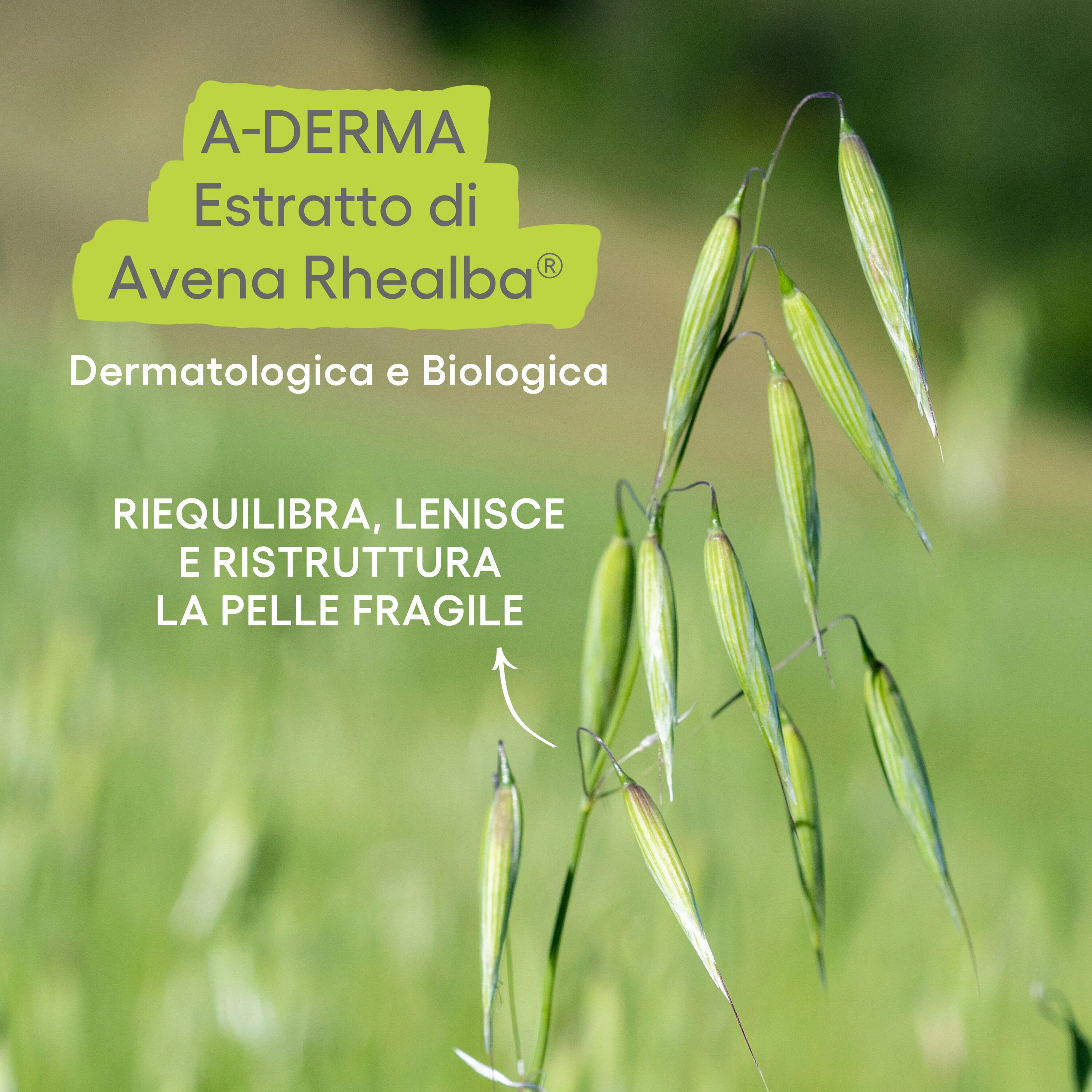 Exomega Control OLIO LAVANTE EMOLLIENTE ANTI-GRATTAGE - Olio Bagno, Olio Doccia, Trattamento Bebè