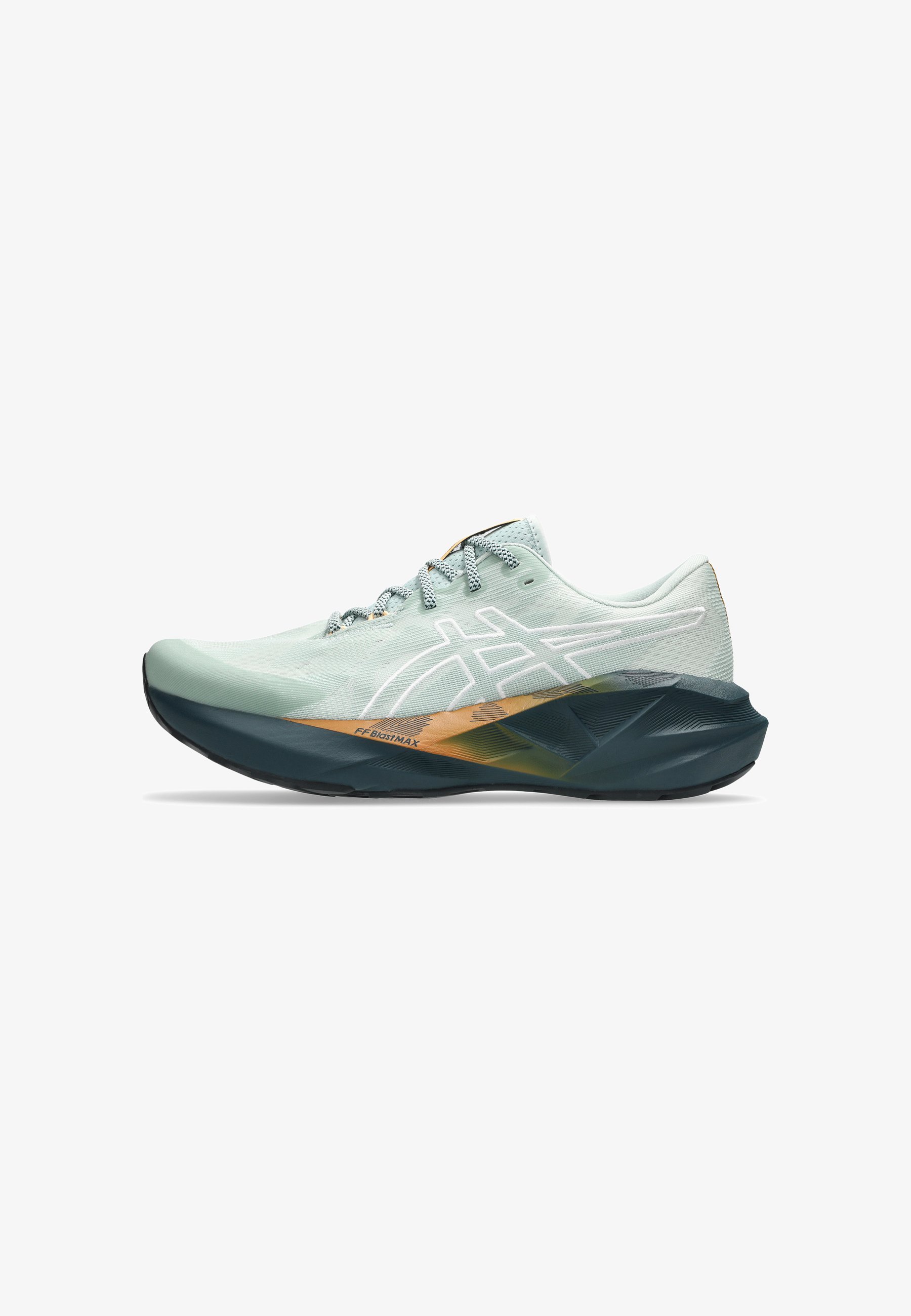 ASICS NOVABLAST 5 TR - Trailrunning schoenen - natuurbaden, korstmos en rots