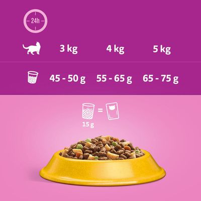 Whiskas 1+ Kurczak
