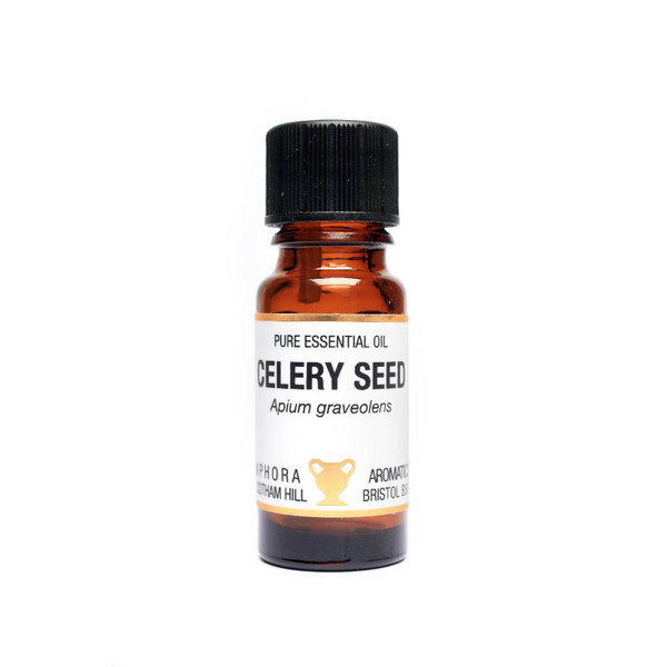 Aceite esencial de semillas de apio Amphora Aromatics 10 ml | Salud | Superdrug
