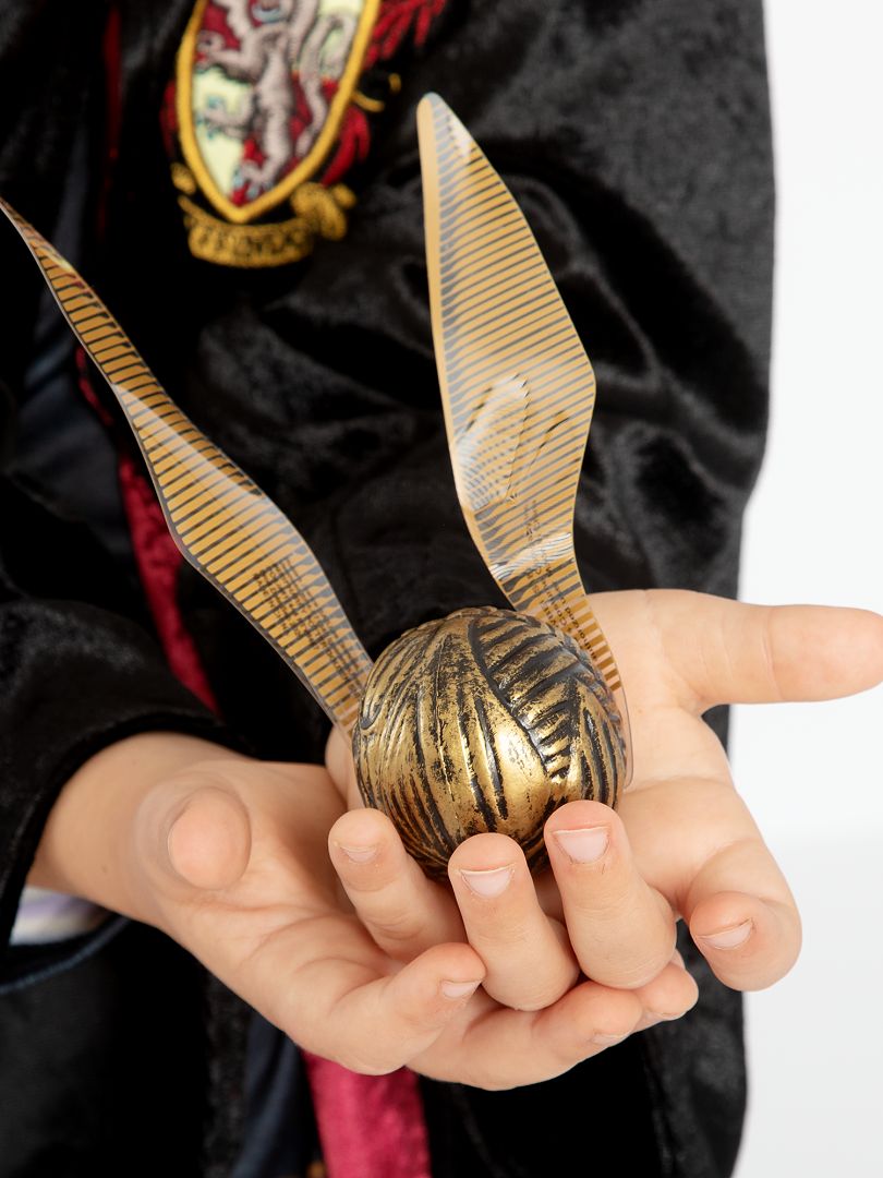 Gouden Snaai 'Harry Potter' - goud