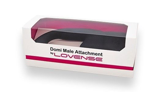 Recensione di Lovense Domi per uomo