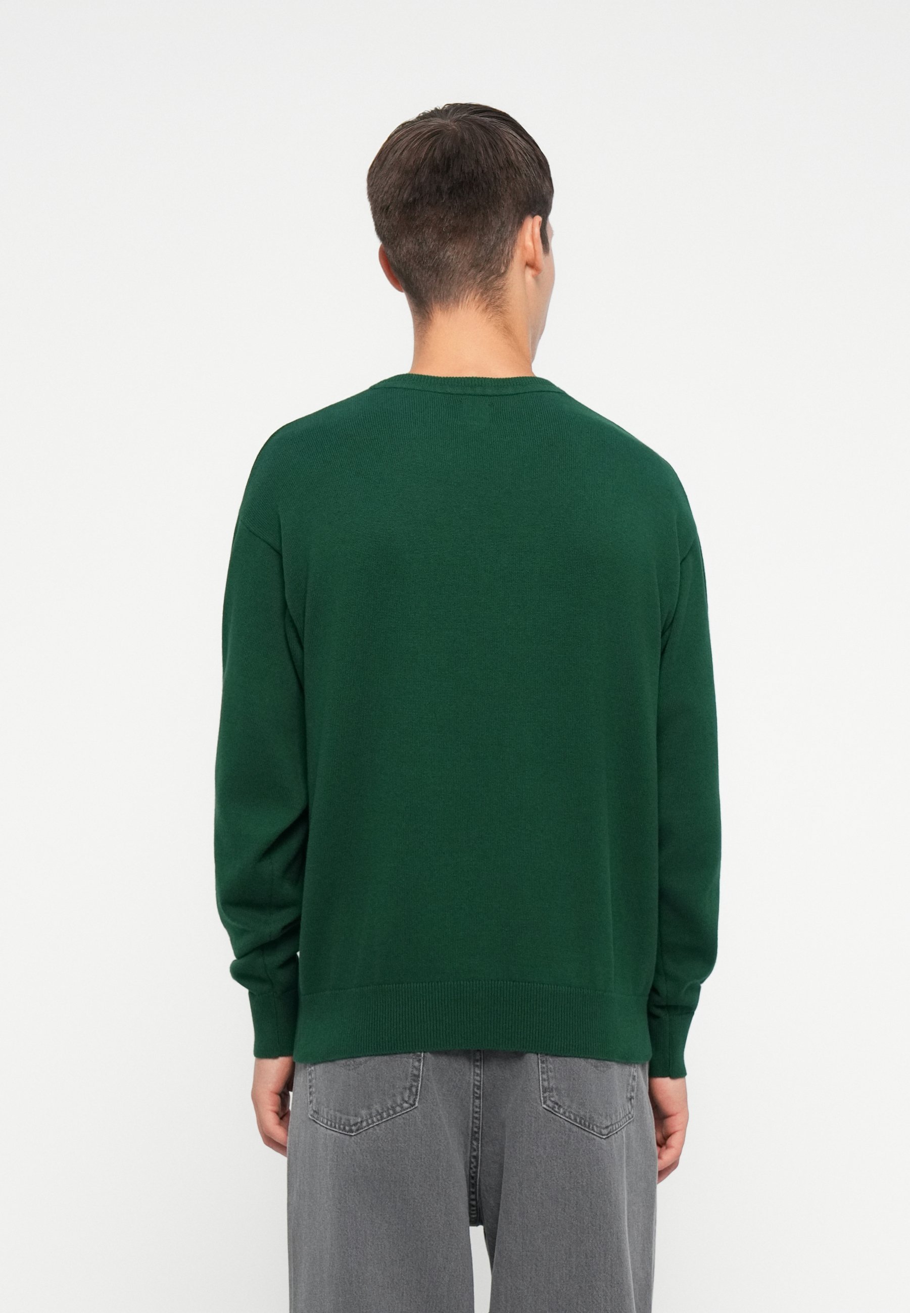 Pull GAP ATHLETIC INTARSIA CREW - Glamour intemporel