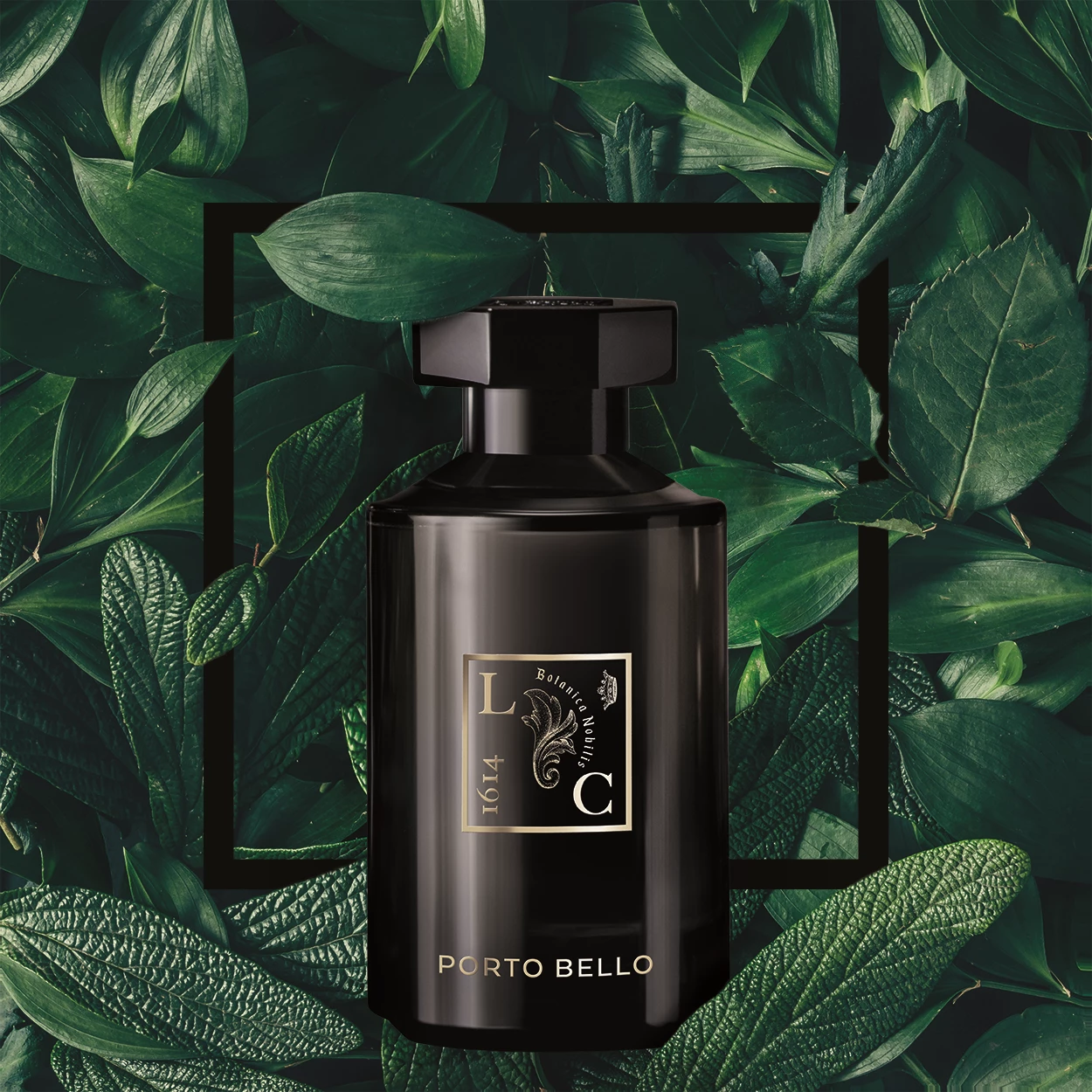Izvanredni parfemi - Porto Bello EdP 100 ml - Kuća parfema Le Couvent