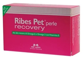 NBF LANES Ribes Pet Recovery Blister 60 perlas Dermal Function