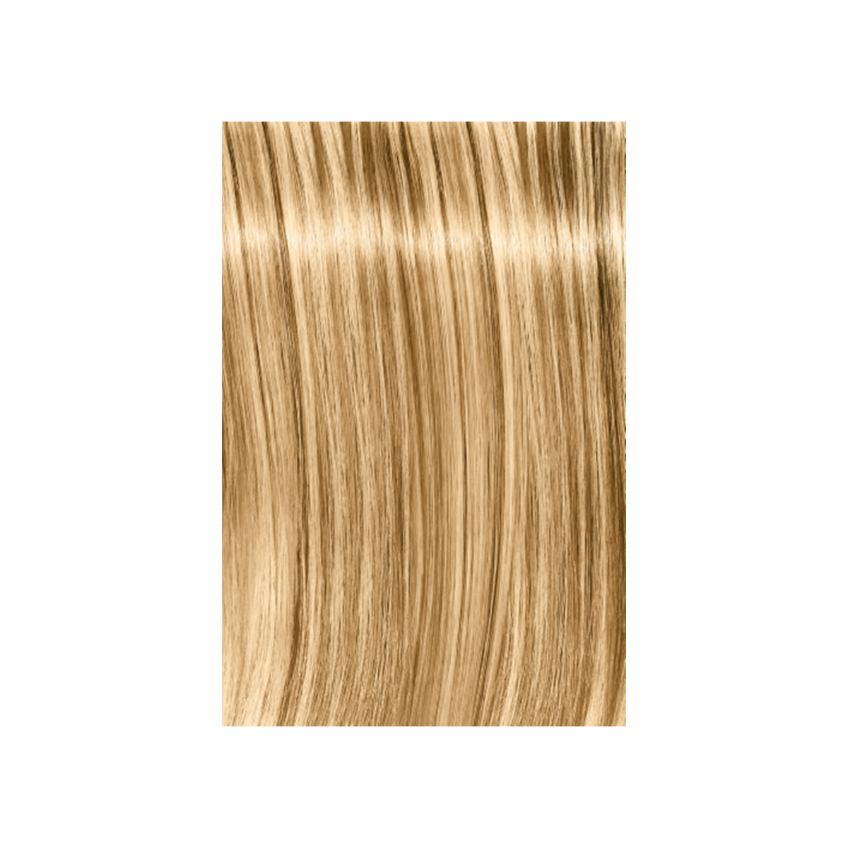 Schwarzkopf Professional Igora Royal Fashion Lights