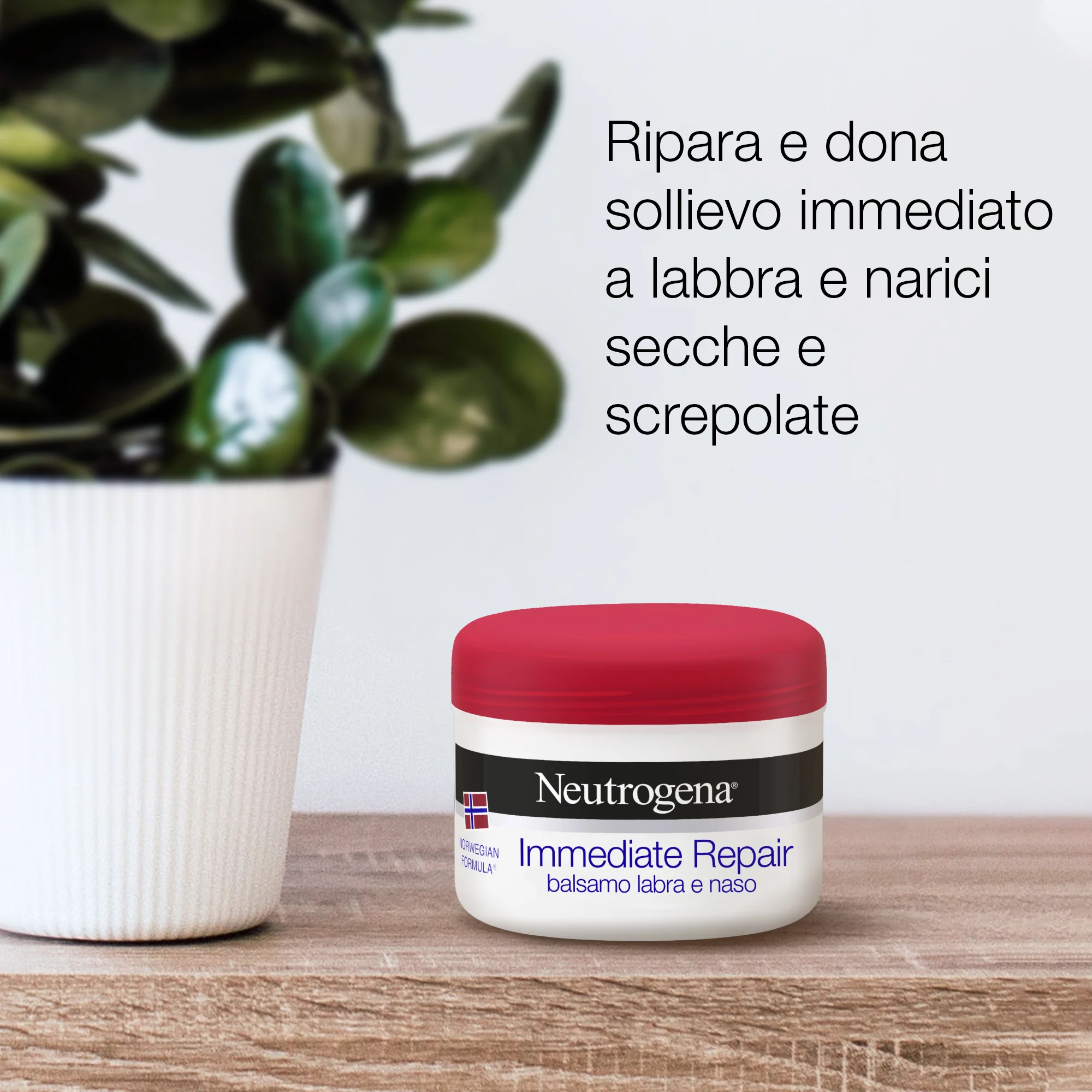 Viso Balsamo Labbra e Naso Riparazione Immediata - Balsamo Labbra