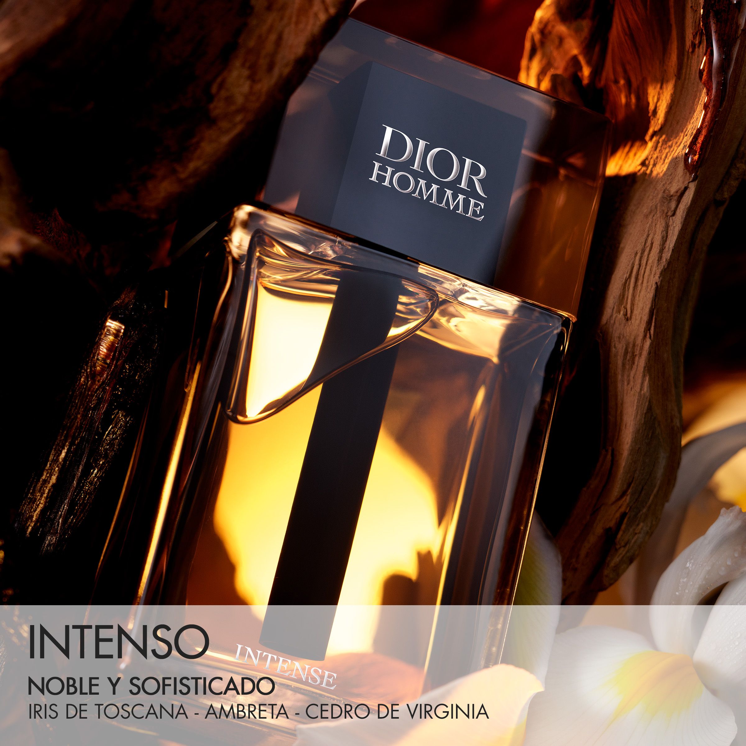 DIOR HOMME INTENSE Eau de Parfum Intense Kvepalai vyrams