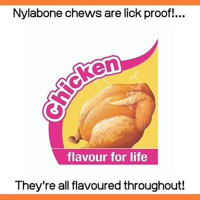Nylabone valpe-tyggebein
