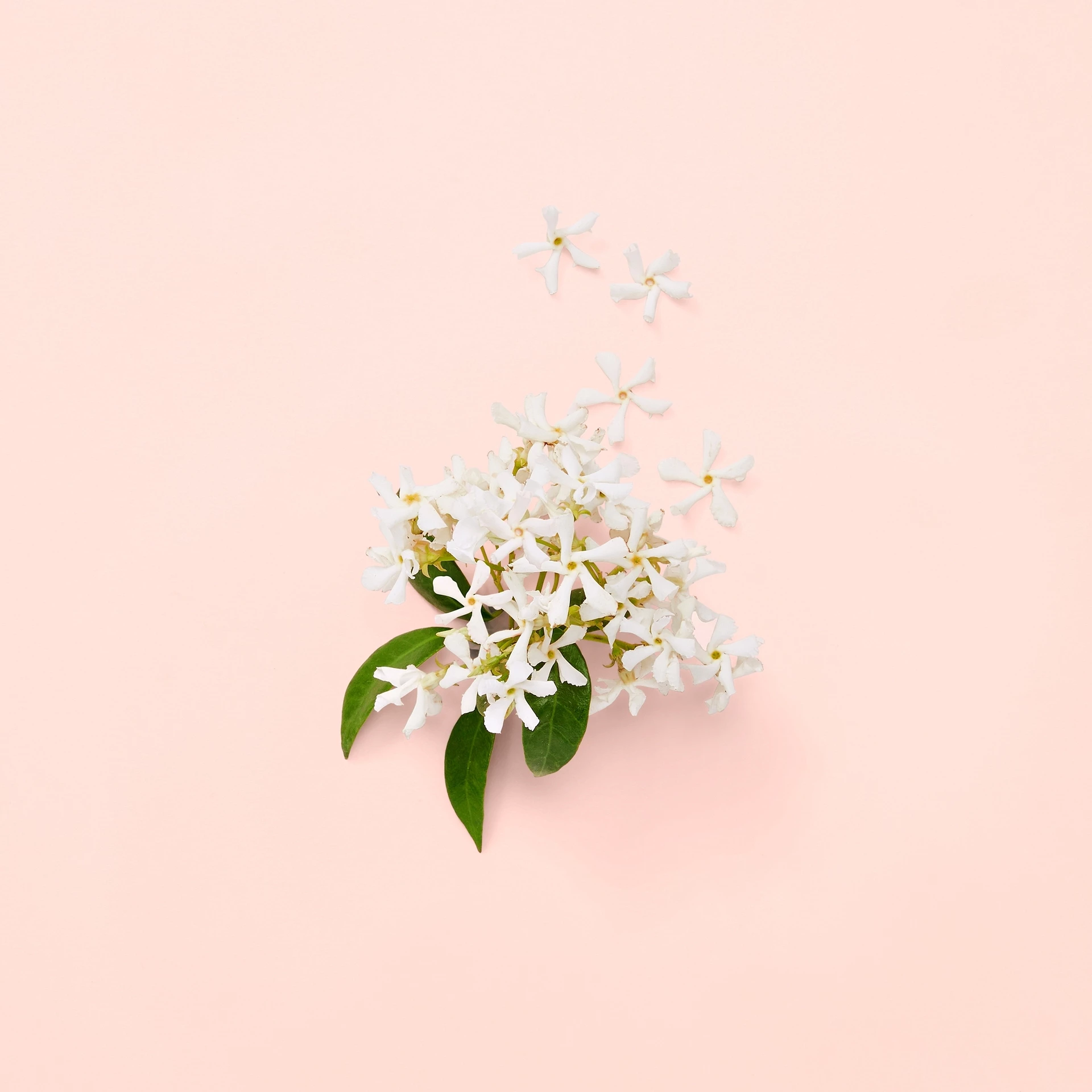 Gucci Bloom Eau de Parfum 30 ml - Gucci