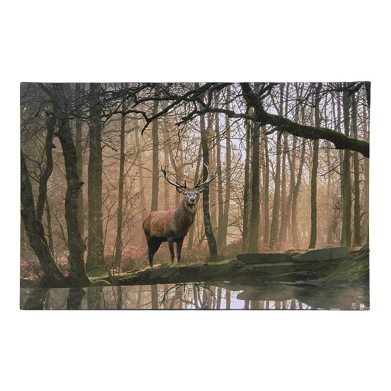 Canvastavla 38x58 cm LED/fiberoptik Höst