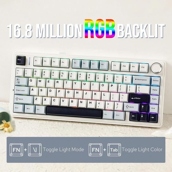 Clavier Gaming Mécanique Sans Fil Aula F75 75% - 3 Modes, Structure Gasket, Switch Interchangeable, Bouton RGBB-Bleu glacier