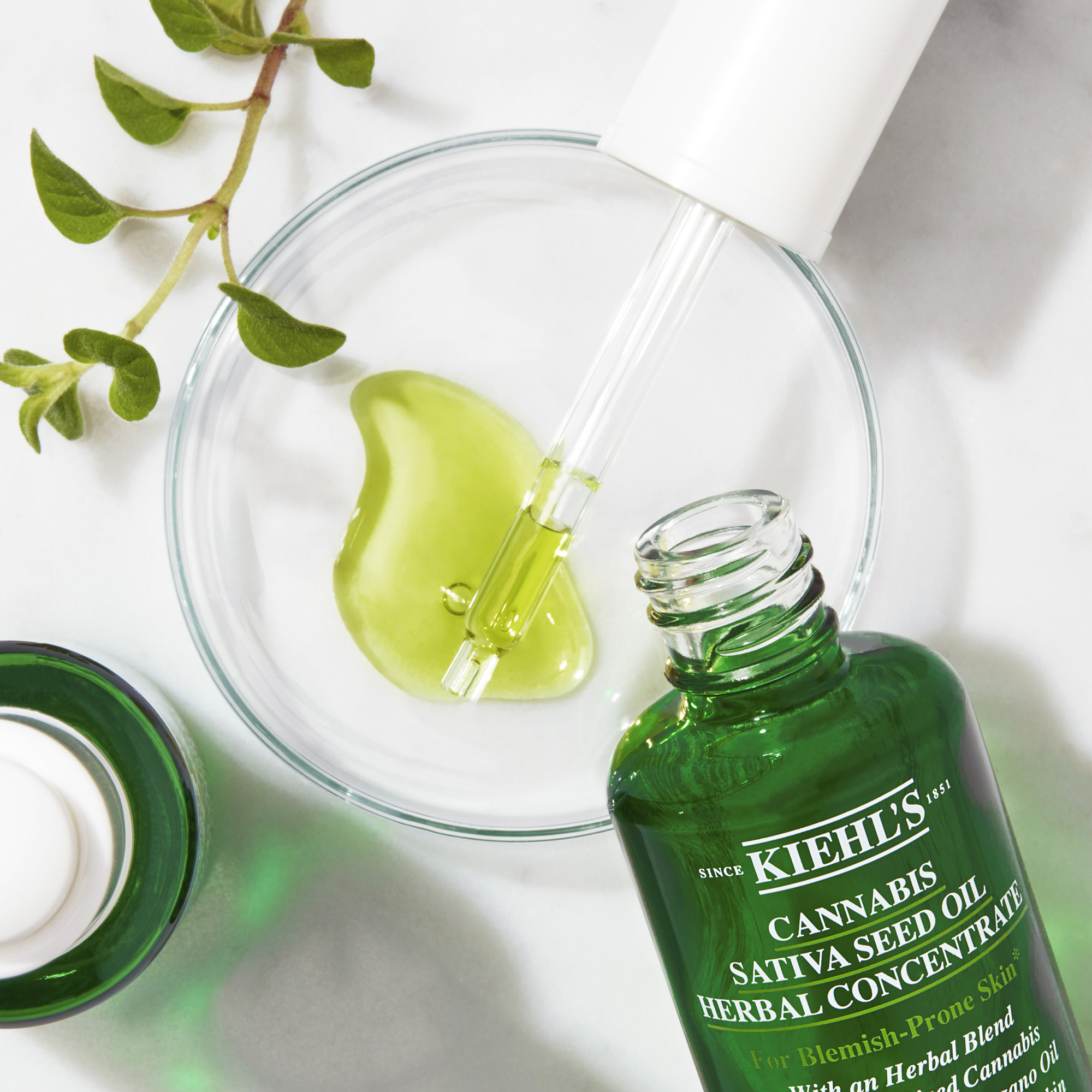 Cannabis Sativa magolaj koncentrátum 30 ml - Kiehl's