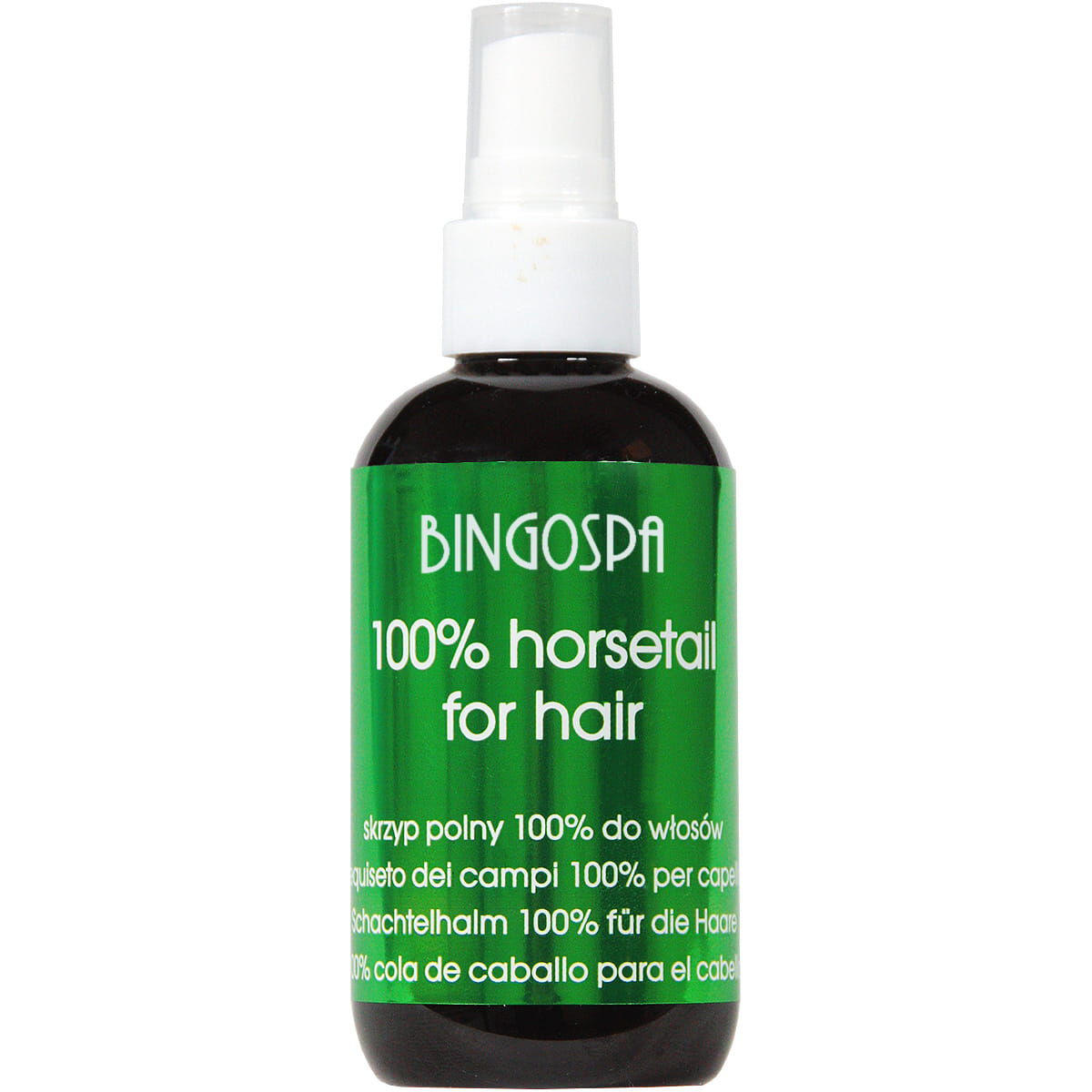 Bingospa