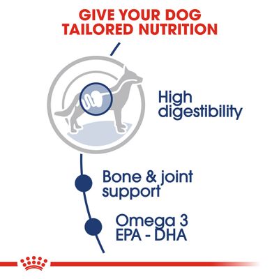 Royal Canin Maxi Adult v omáčce