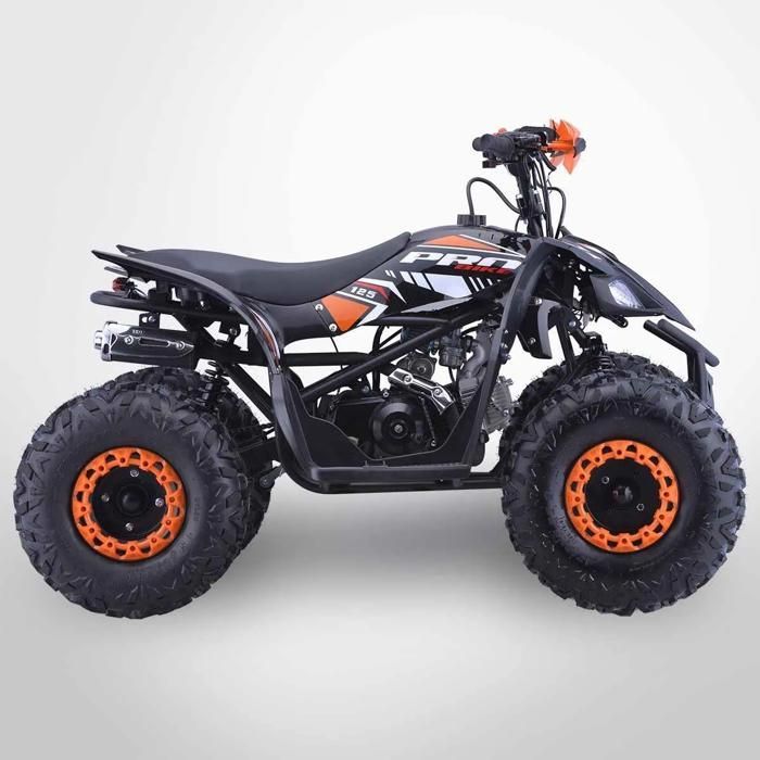 Quad infantil de 125 cm³ PROBIKE 125-R / Naranja
