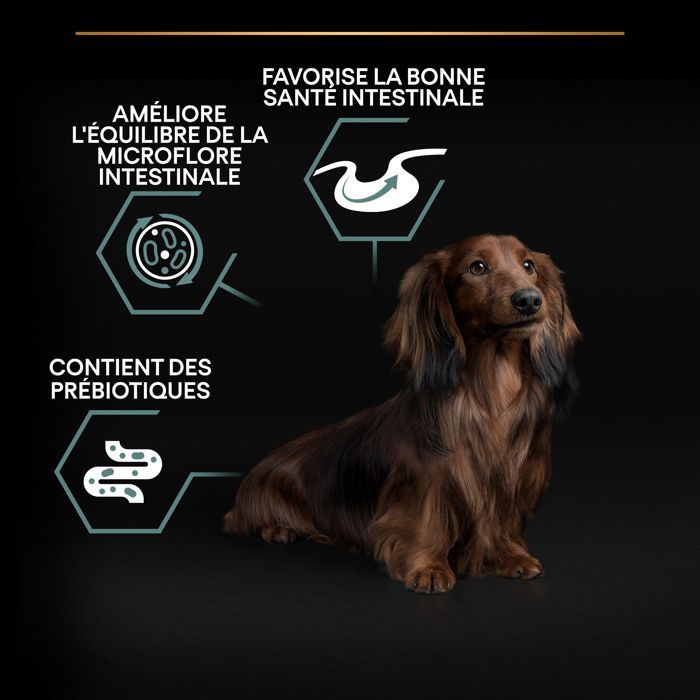 PRO PLAN Small & Mini Adulto Digestión Sensible Rico en Cordero - 7 KG - Croquetas para perros adultos de razas pequeñas