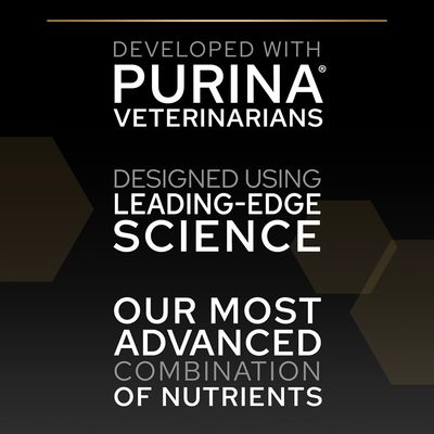 PURINA PRO PLAN Kitten Healthy Start - bogata w kurczaka