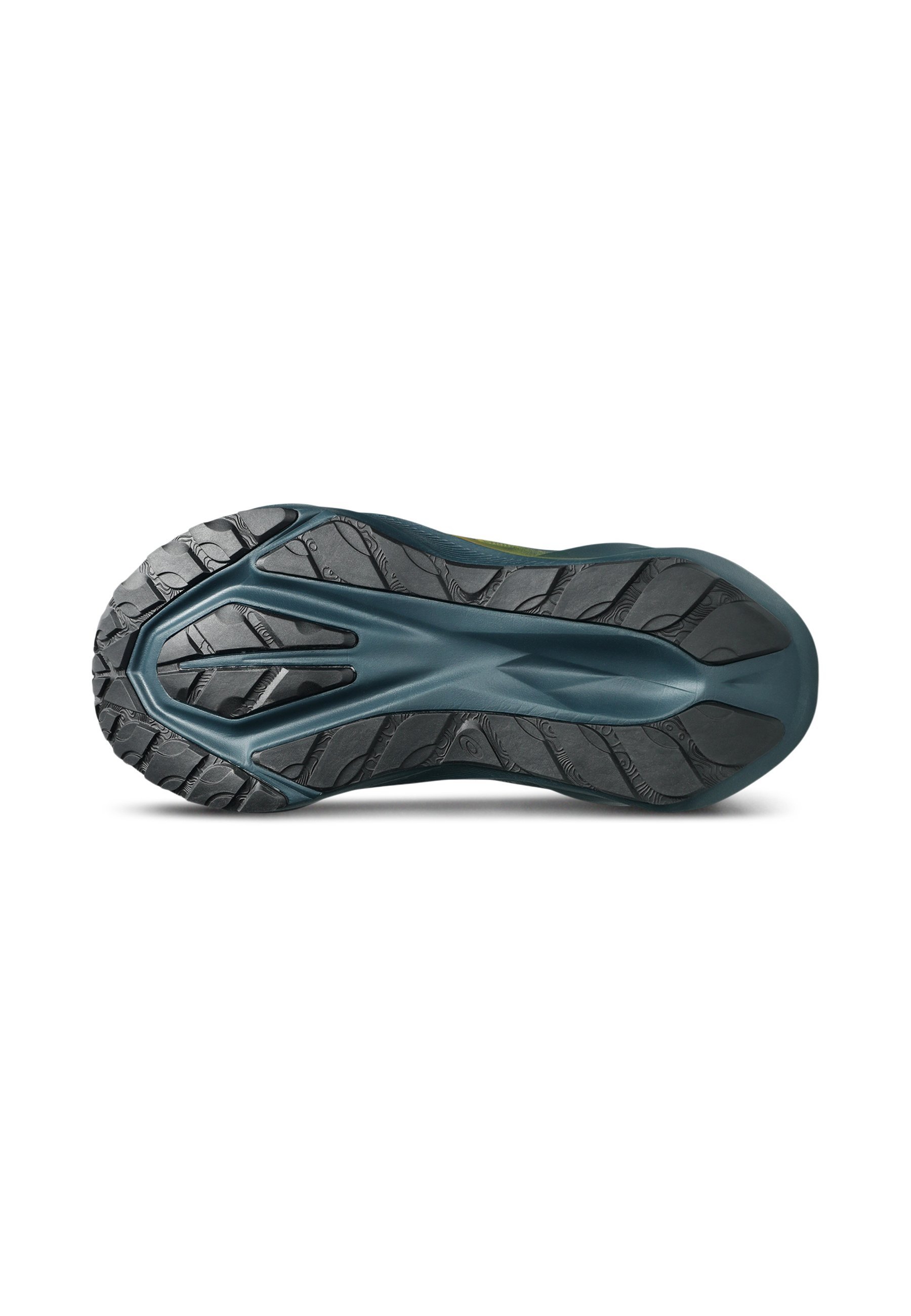 ASICS NOVABLAST 5 TR - Buty do biegania w terenie - kąpiel w naturze, porosty, skała