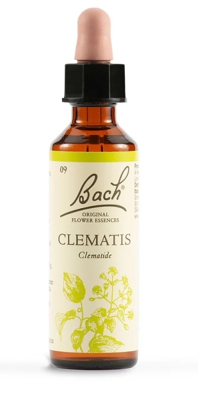 SCHWABE Schwabe Bachblüten 09 Clematis Tropfen 20 ml