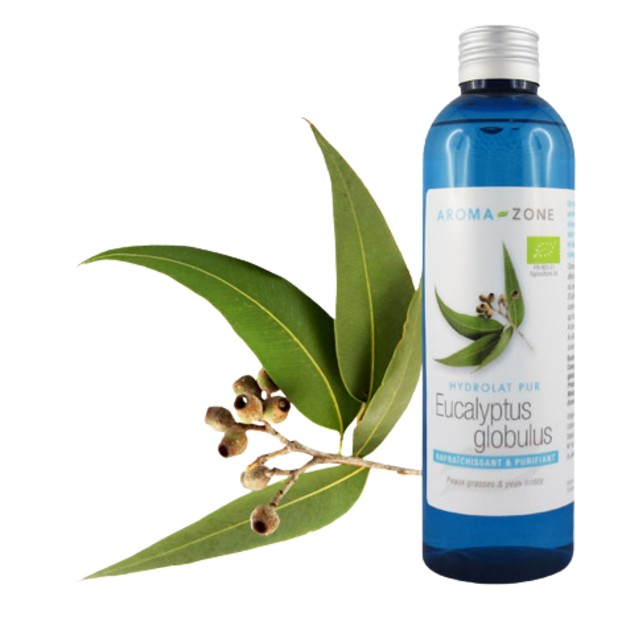 Hydrolat d'Eucalyptus globulus BIO