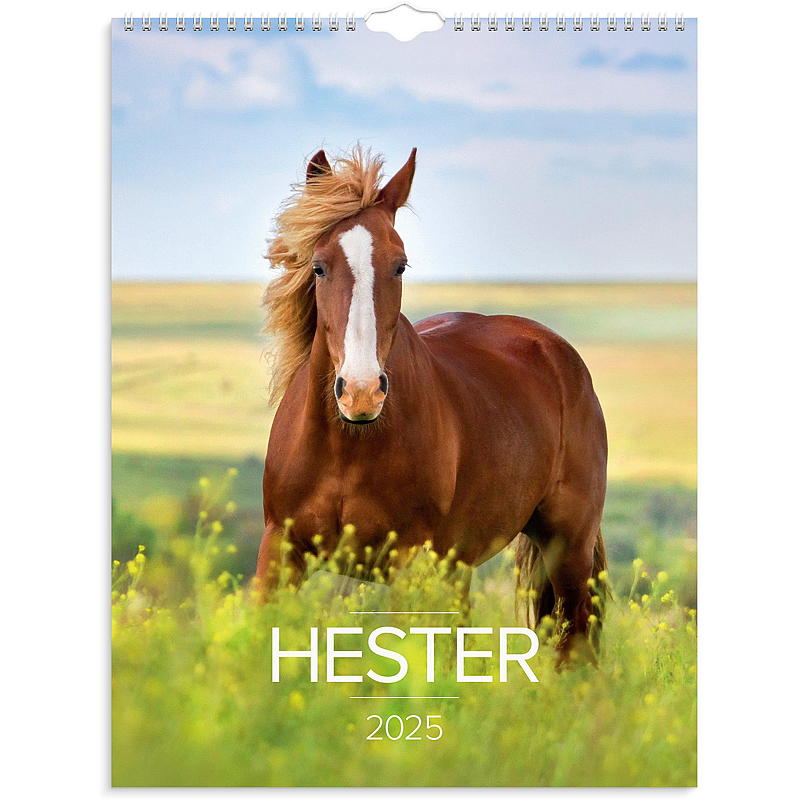 Wandkalender paarden 2025