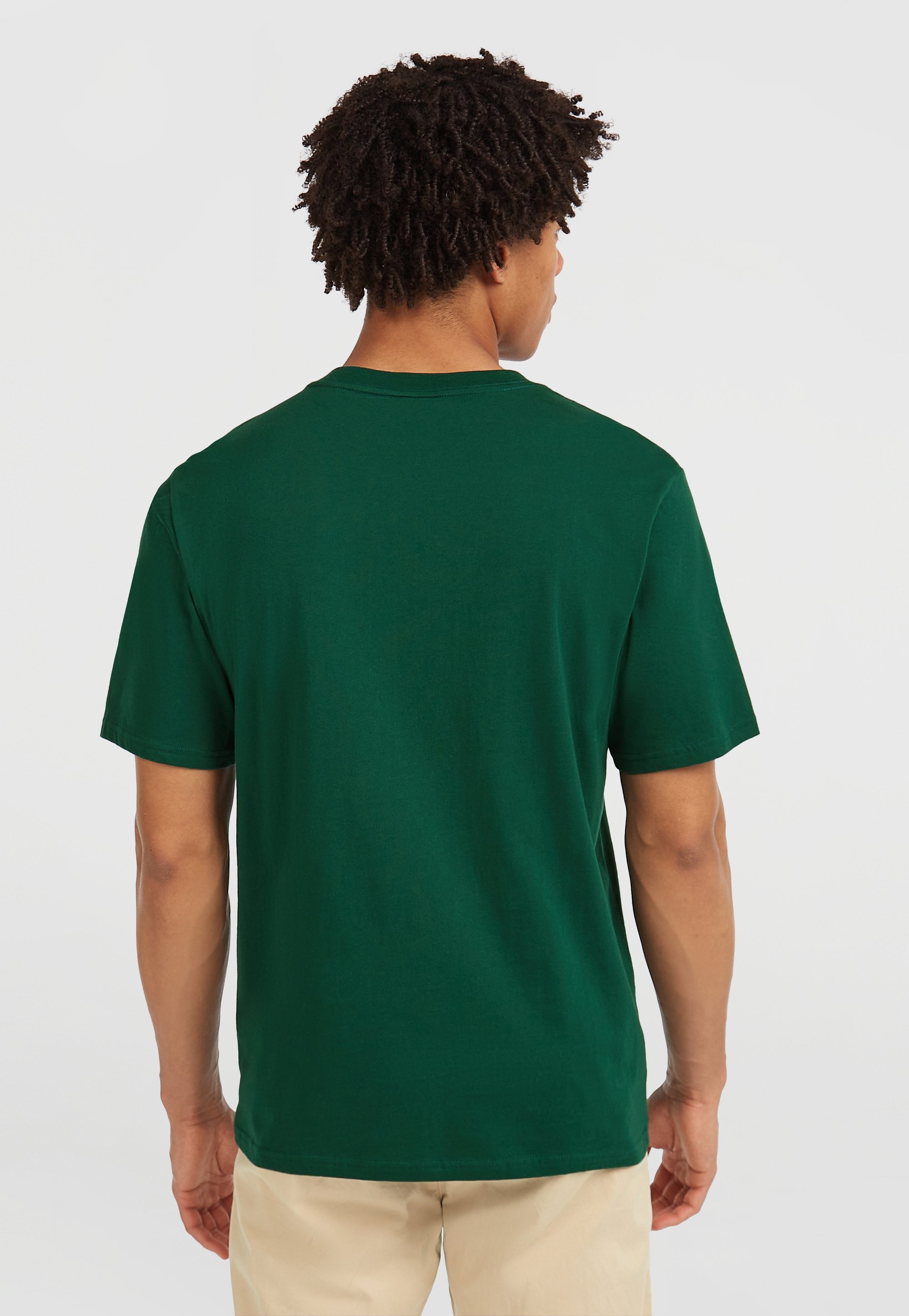 O'Neill MUIR - T-shirt met print - emerald envy