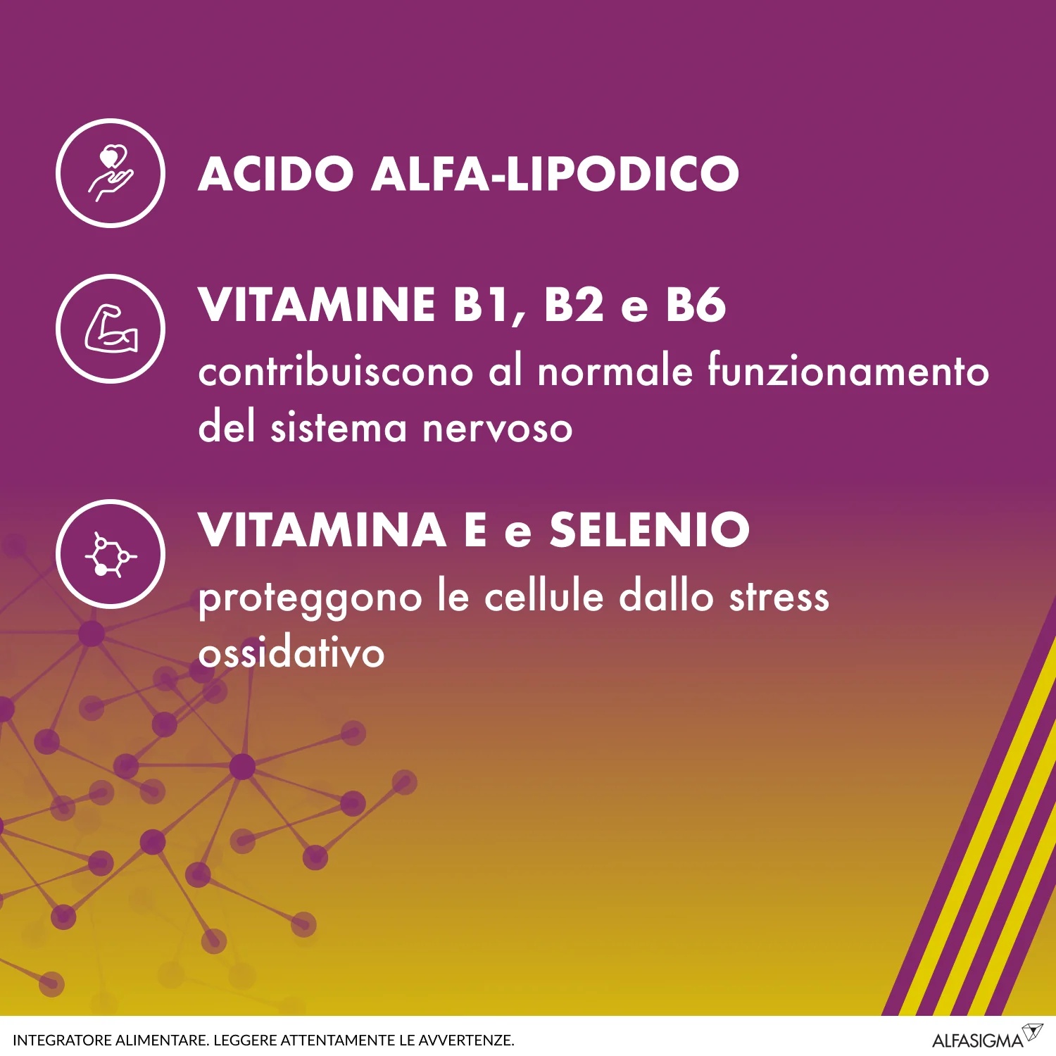 ALA ALAnerv 20 capsules Complément alimentaire pour le système nerveux