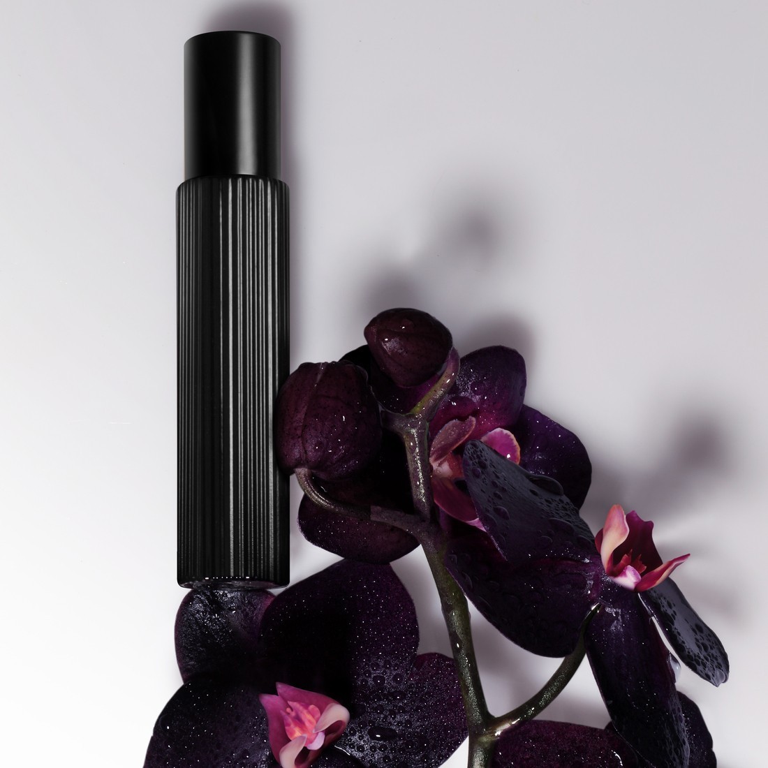 TOM FORD sieviešu smaržu komplekts, Black Orchid Eau de Parfum 50 ml – 1 gab.