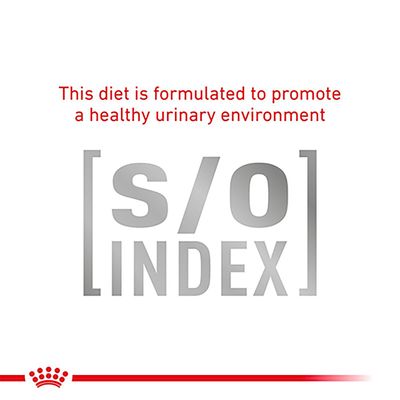 Royal Canin Veterinary Cat - Diabetic DS 46