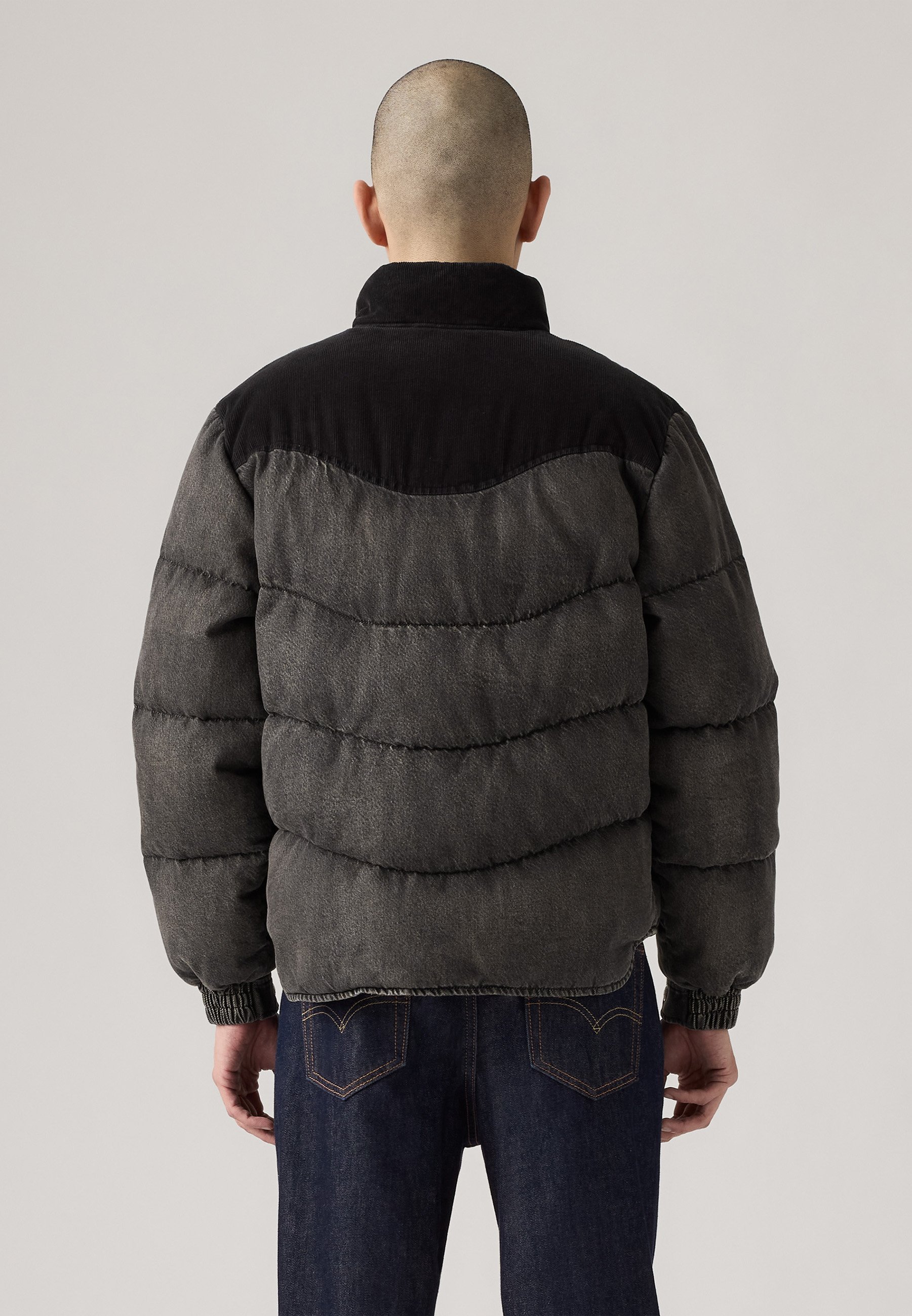 Levi's® WILD WEST PUFFER - Pūkinė striukė - hamilton heights