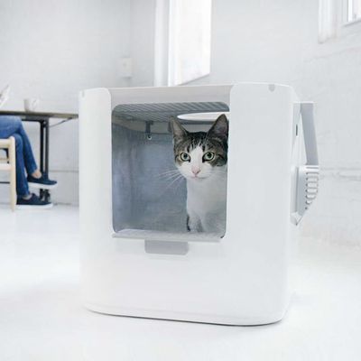 Caixa de areia Modkat XL para gatos