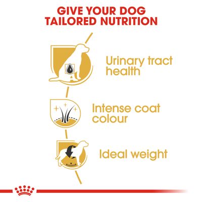 Royal Canin Schnauzer Miniatur Adult