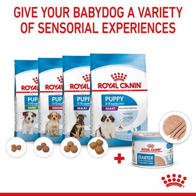 Royal Canin Mousse για Μητέρα & Μπέιμπι-Σκύλο
