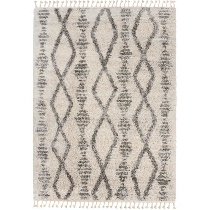 TAPISO Tapis Salon Poils Longs VERSAY Crème Gris Berbère Polypropylène Intérieur 120x170 cm