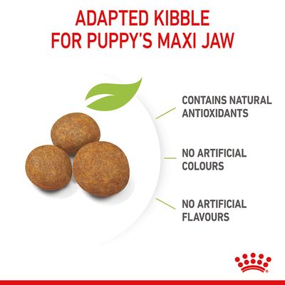 Royal Canin Maxi Puppy