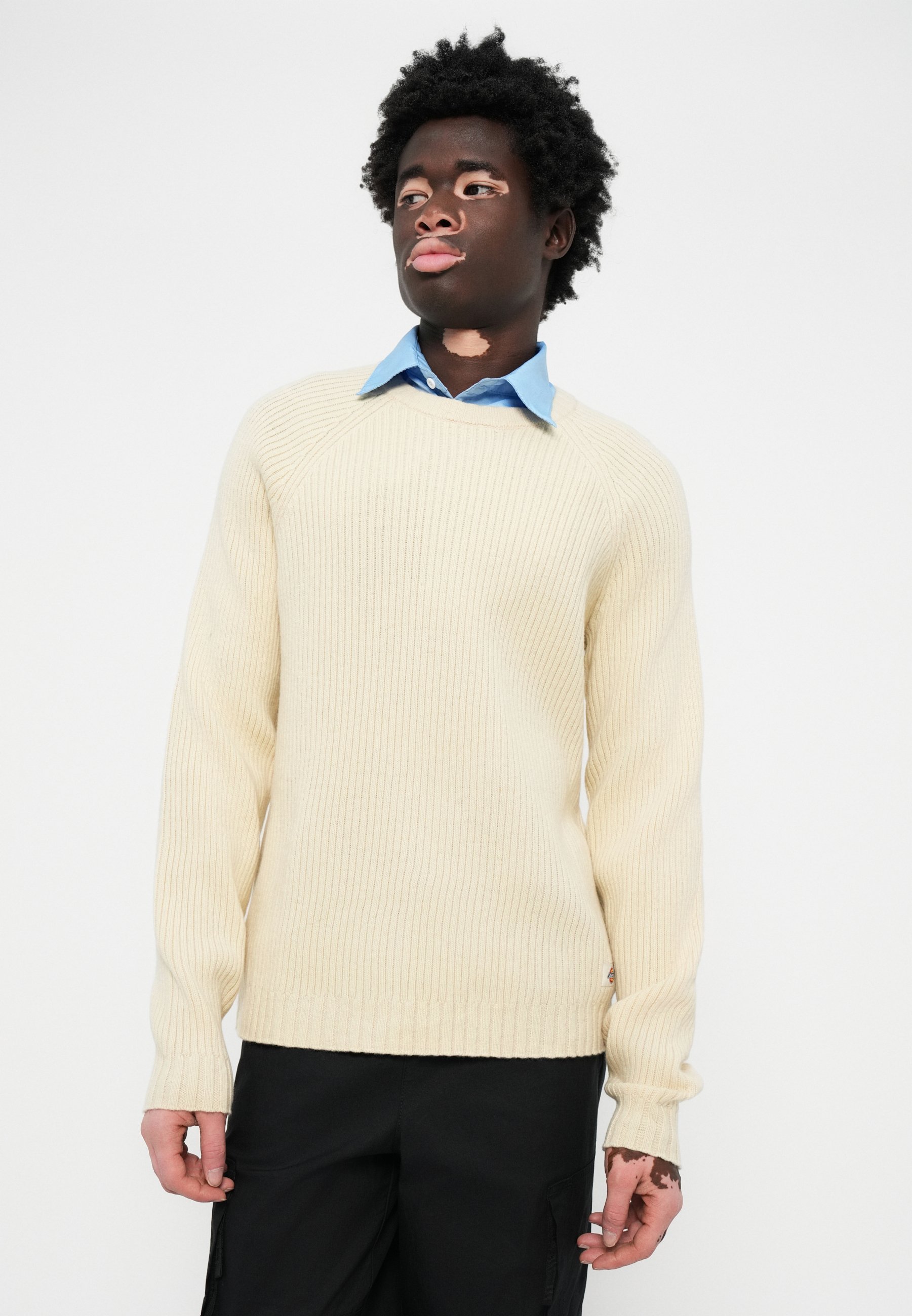 Sweter Dickies Knitted