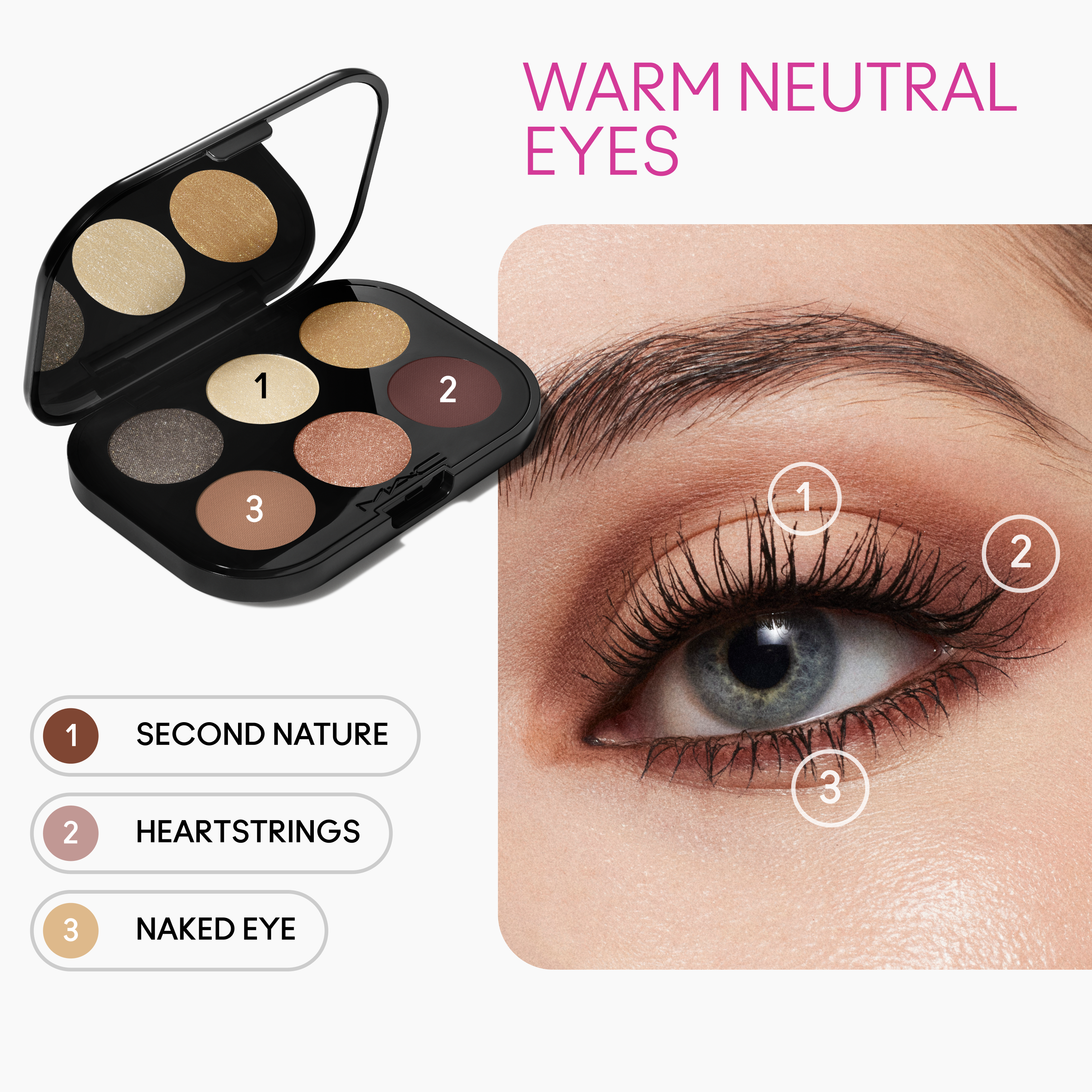 „Connect In Color Palette“ 6 akių šešėliai Prabangūs akių šešėliai