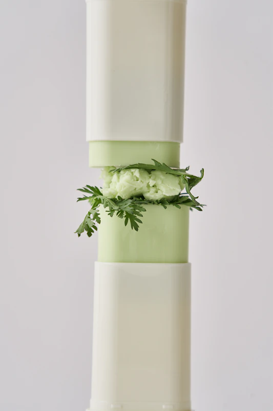 Beauty of Joseon Matte Sun Stick Mugwort + Camelia Sunscreen Stick SPF 50+