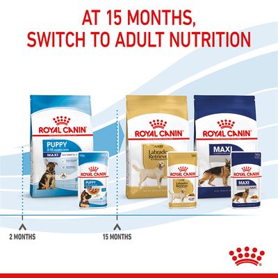 Royal Canin Maxi Puppy σε σάλτσα