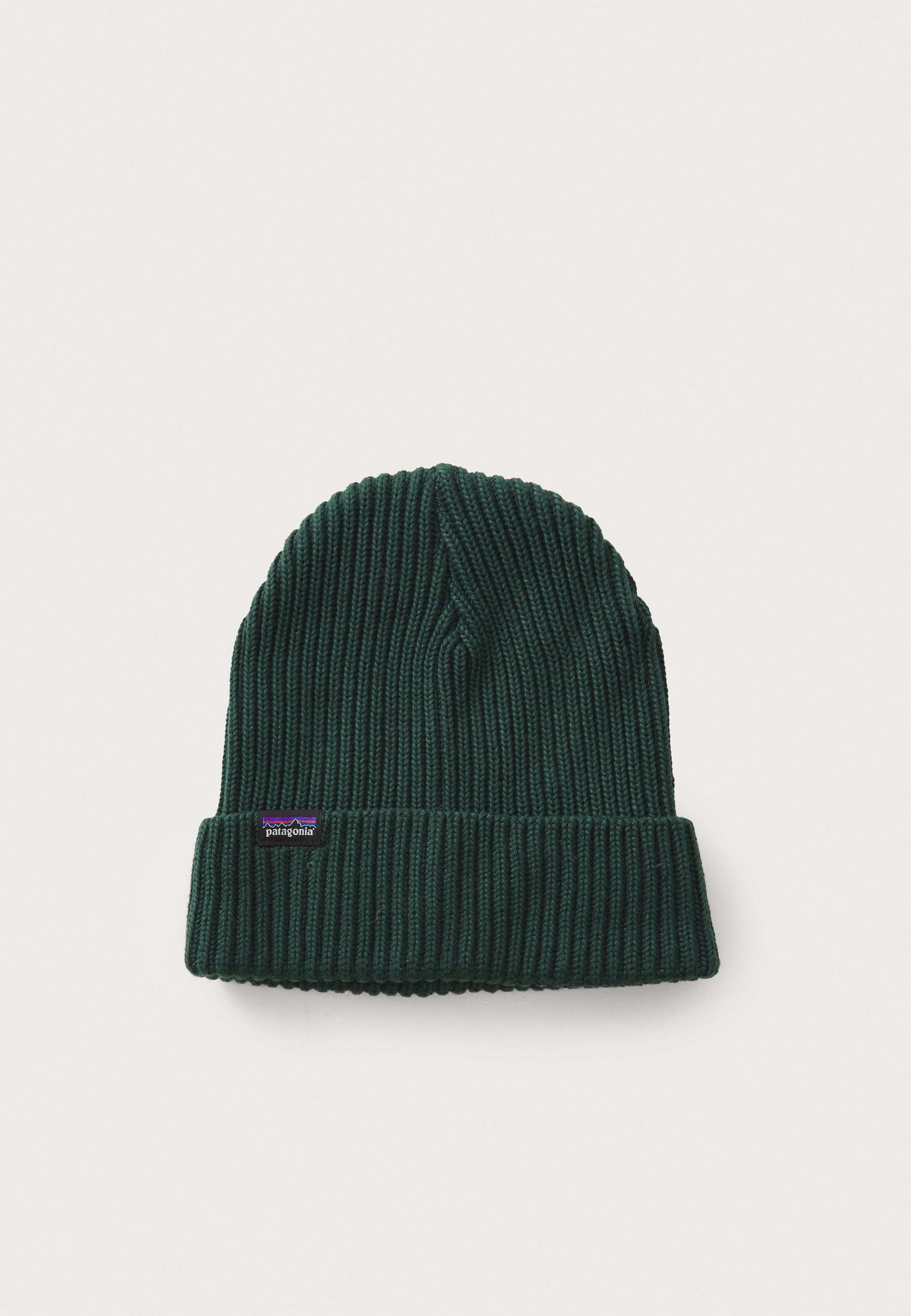 Patagonia FISHERMANS ROLLED BEANIE UNISEX - Lue - cascade green